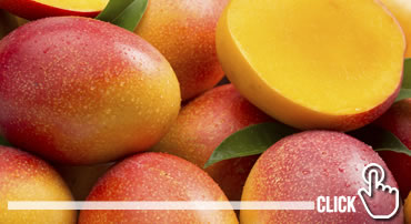 Mangos Interfrut