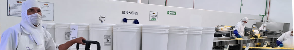 Banner-header